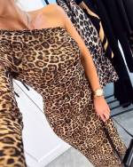 Leopard Leopard Print Dress