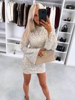 Brūns Kleita Ar Maigi Mirdzošām Fliterēm